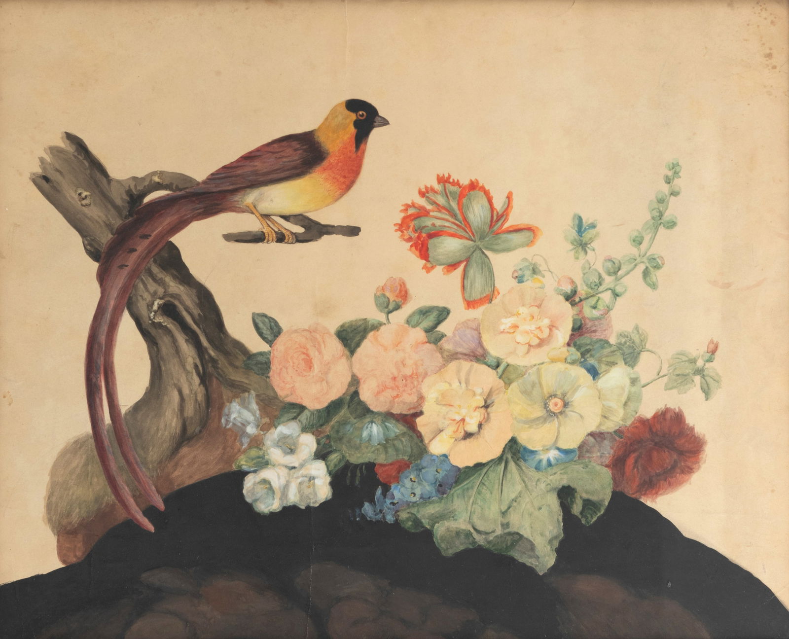 Still Life Painter: Still Life Painter 20th ct. 42 x 52 cm Still life of flowers with a bird. Watercolour/cardboard. Minor wear, spots on cardboardStillebenmaler 20. Jhdt. 42 x 52 cm Stillleben mit Blumen und Vogel.