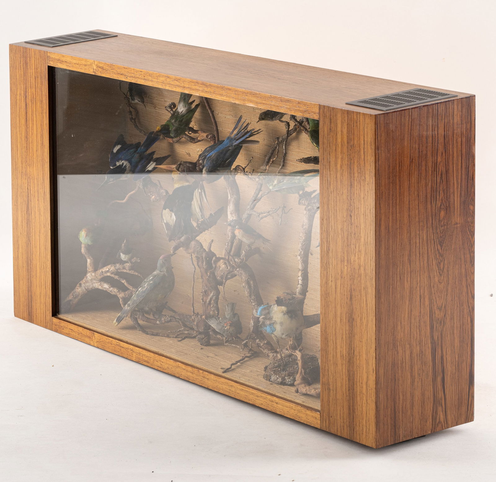 A DISPLAY CASE WITH STUFFED BIRDS - 6