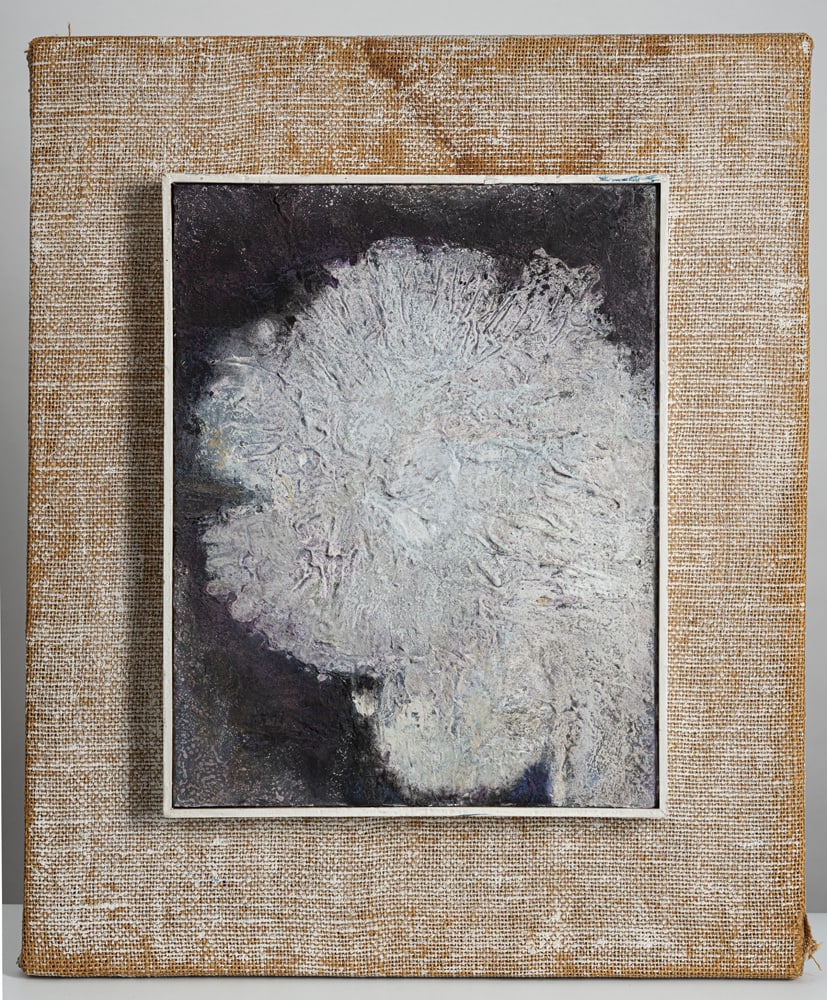 Sieber, Friedrich - 2