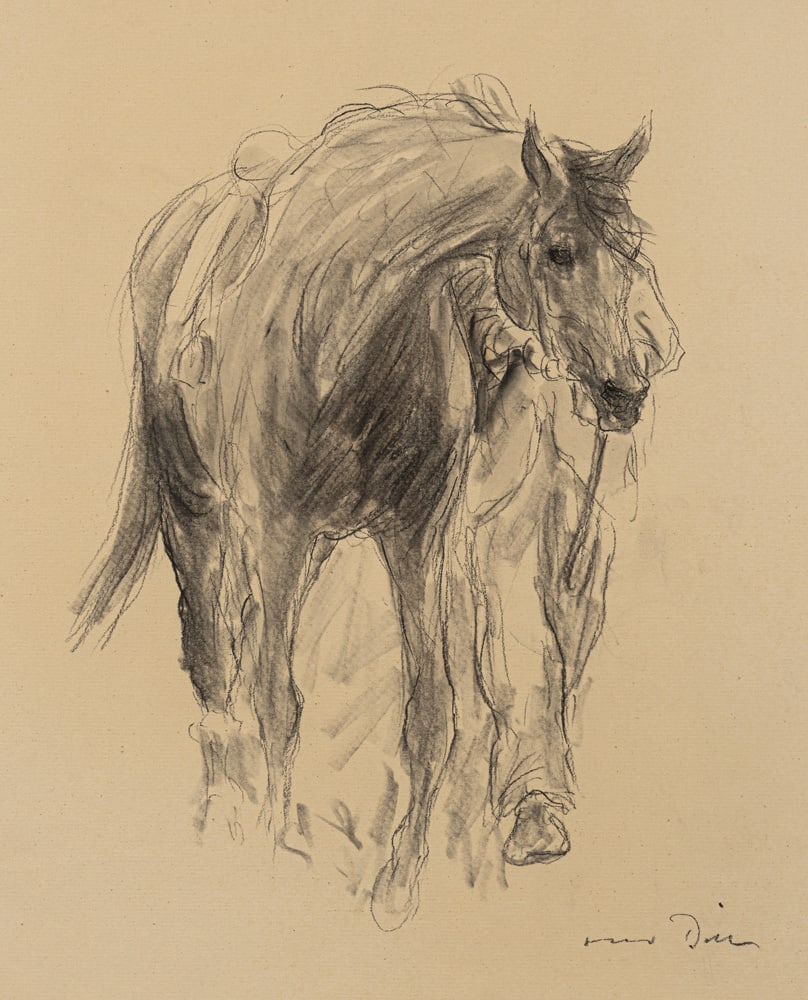 Dill, Otto: Dill, Otto Neustadt, 1884 - Bad Dürkheim, 1957 54 x 44 cm, R. "Rennpferd". Charcoal on paper. Signed. Corporate collection, Germany. Dill, Otto Neustadt, 1884 - Bad Dürkheim, 1957 54 x 44