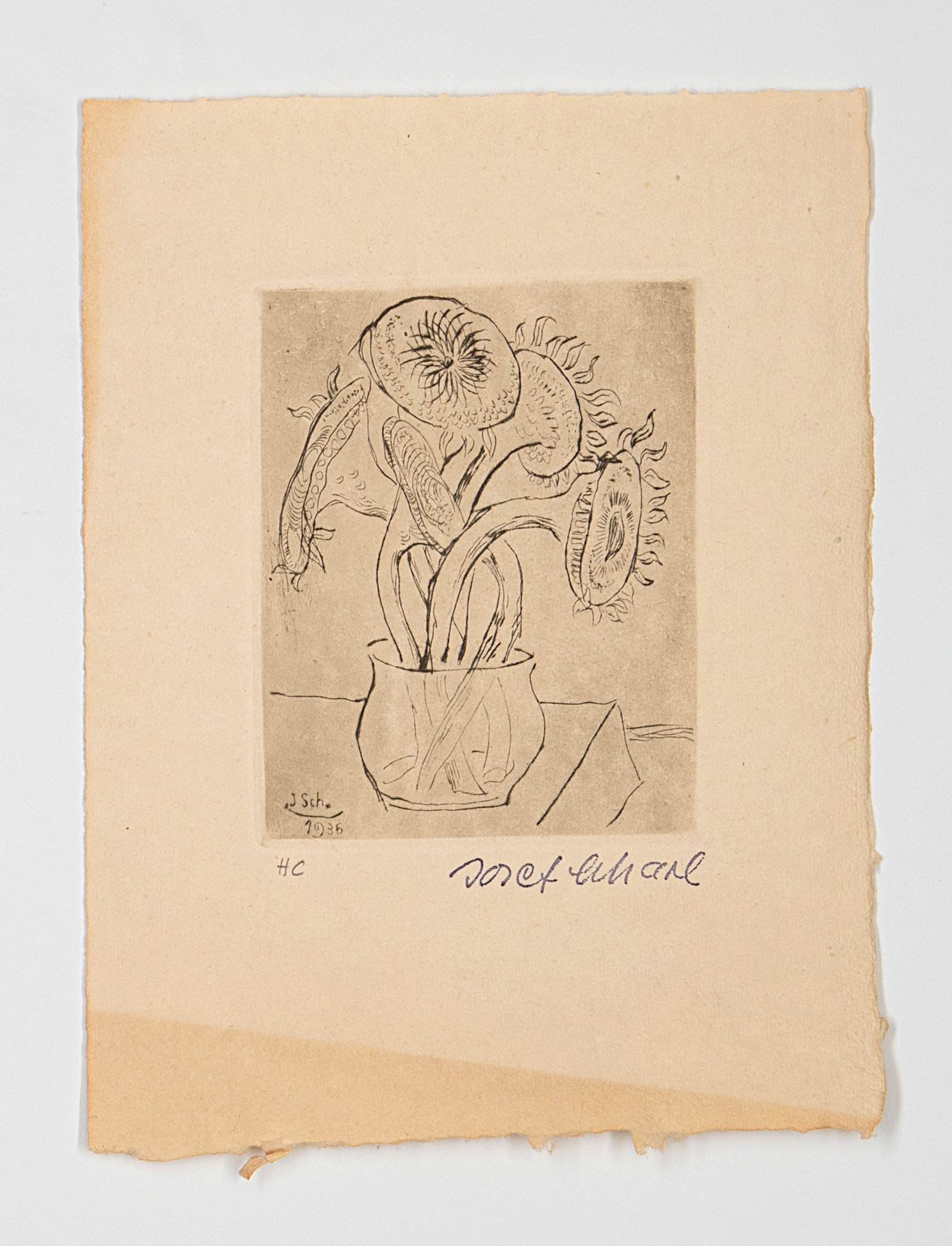 Scharl, Josef - 2