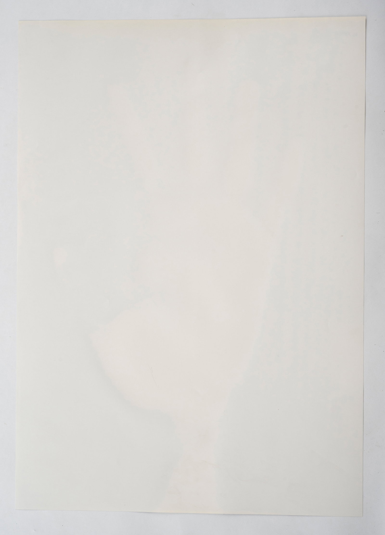 Trockel, Rosemarie - 3
