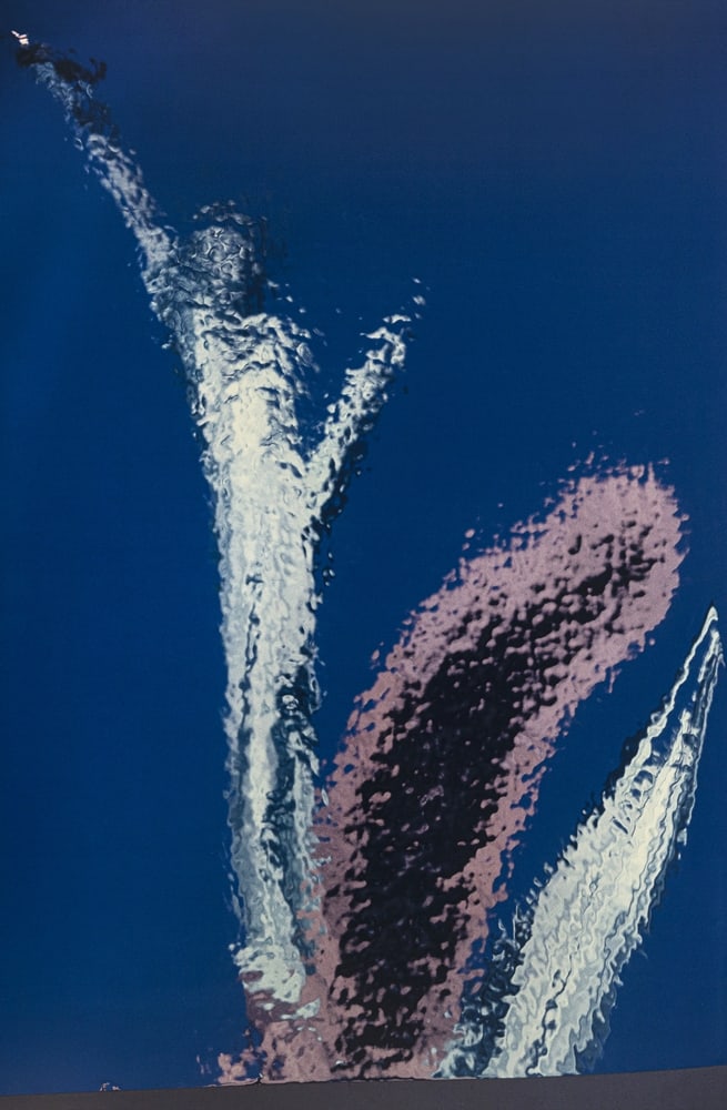 Süße-Krause, Uta: Süße-Krause, Uta Maulbronn, 1955 190 x 125 cm, o. R. "New York, Patriotismus - Patriotism", 2004. Photography. Signed, dated and numbered I/V. Südwestbank AG art collection.