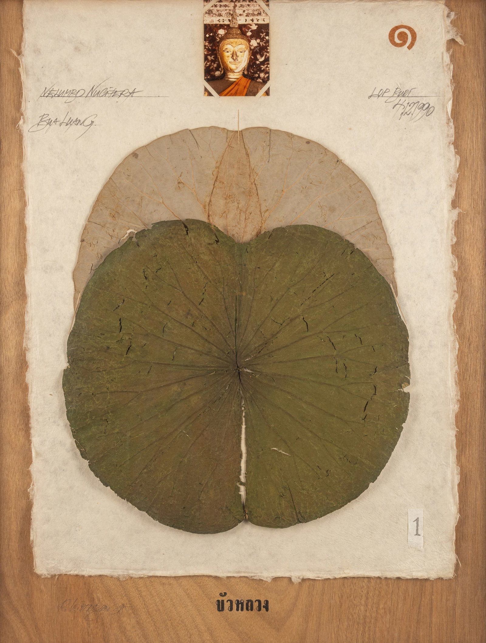 Wittenborn, Rainer: Wittenborn, Rainer Berlin, 1941 89 x 69 cm, R. "Plants and Heads - a siamese Herbarium", 1995. Mixed media and collage on mulberry paper, mounted on wood. Signed and dated. Corporate collection,