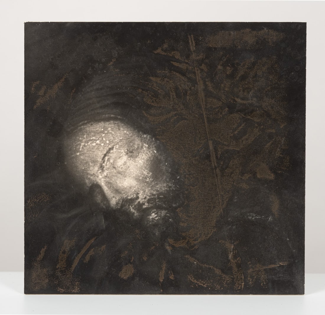 Convolute: 14 works - 6