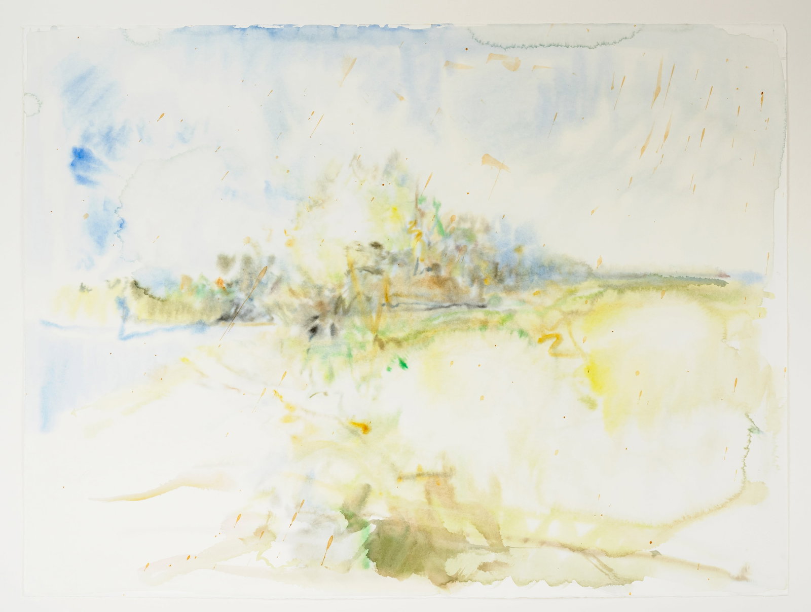 Kohl, Thomas - 2