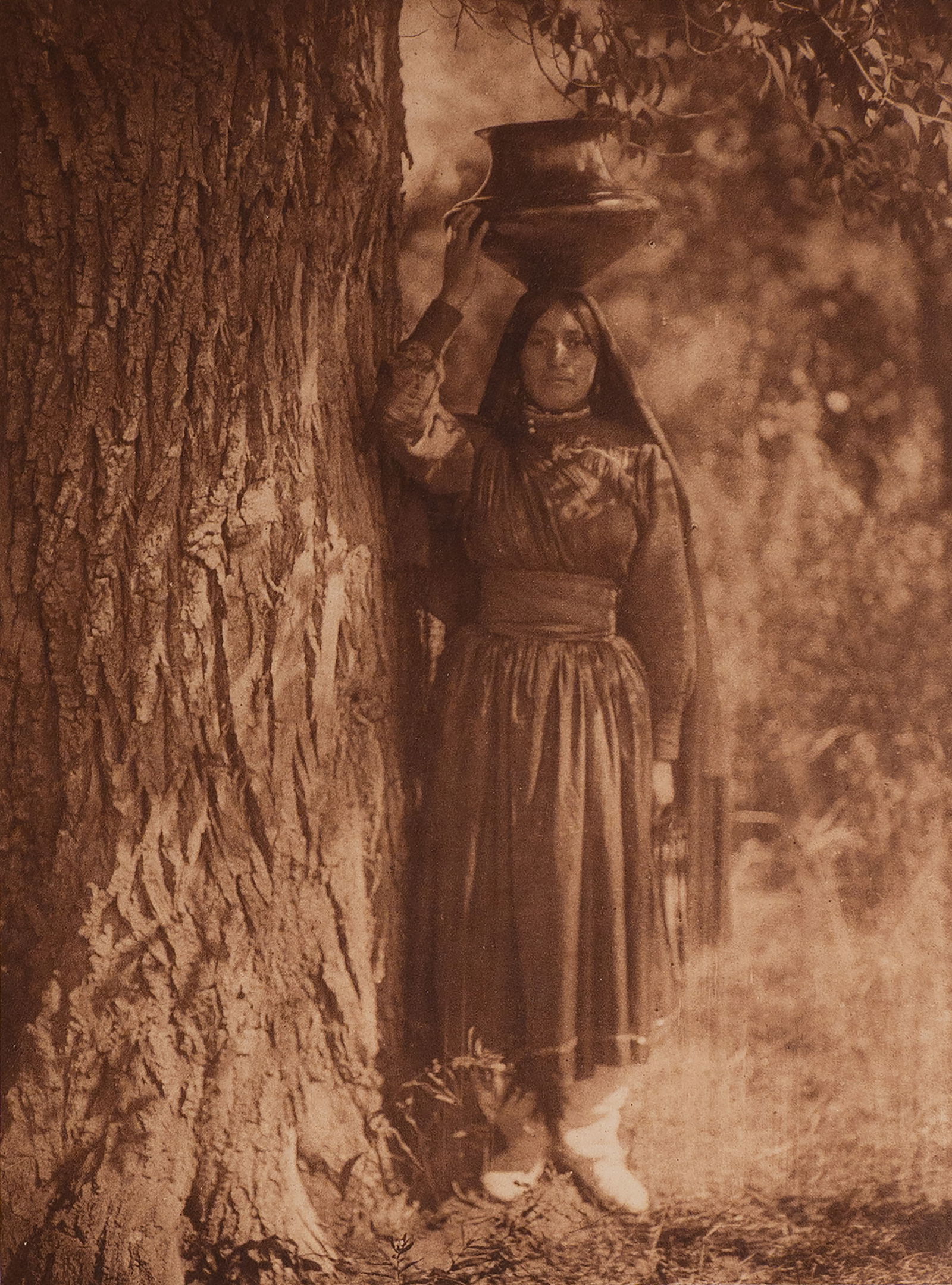 In The Forest - Taos: A Taos woman stands gracefully beside the textured bark of a cottonwood tree, balancing a water jar on her head with practiced poise. Dressed in a long, belted dress and shawl, she gazes calmly at the