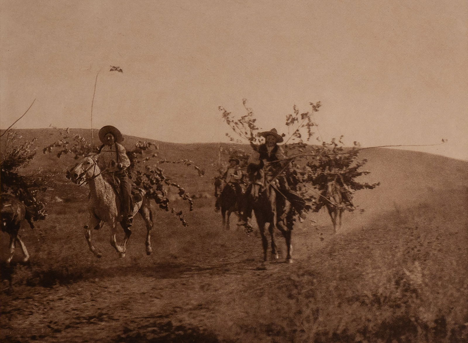 Return With Boughs - Cheyenne (1 of 4)
