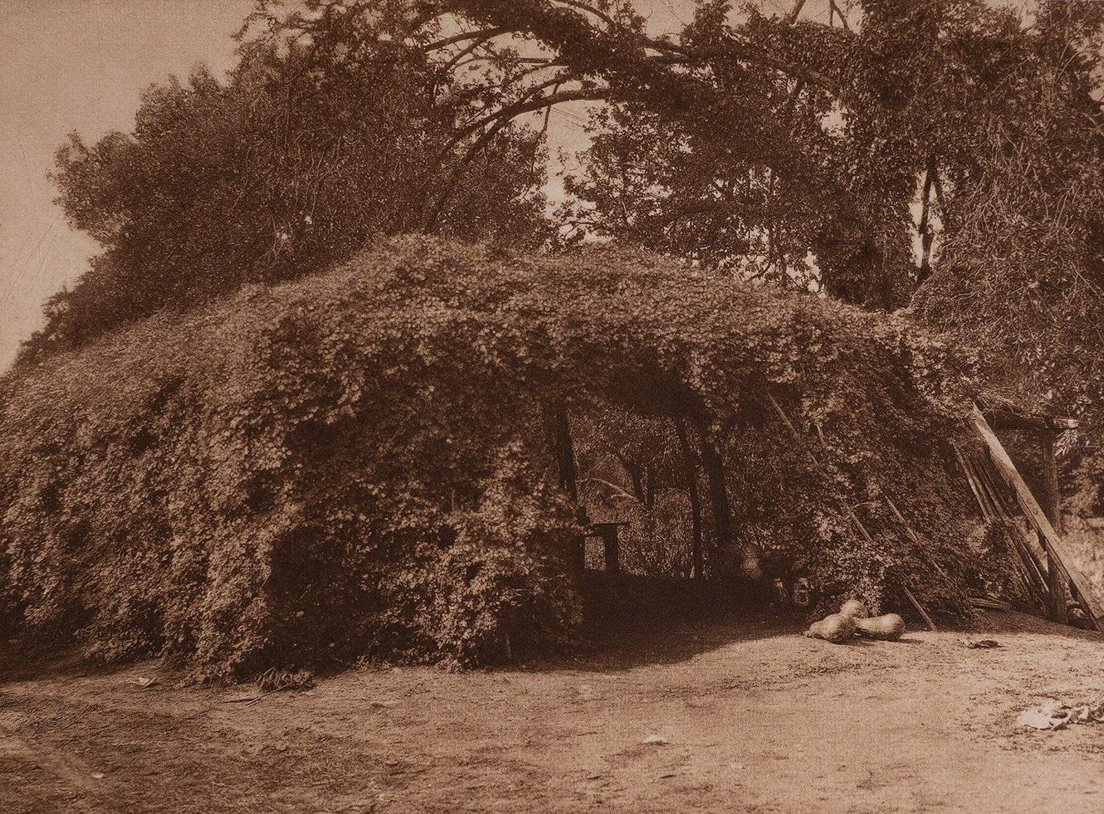 Wichita Summer Arbor: A rustic, vine-covered structure stands beneath the shade of tall trees in this intimate scene from the Southern Plains. Constructed for shade and airflow, this summer arbor provided protection from t