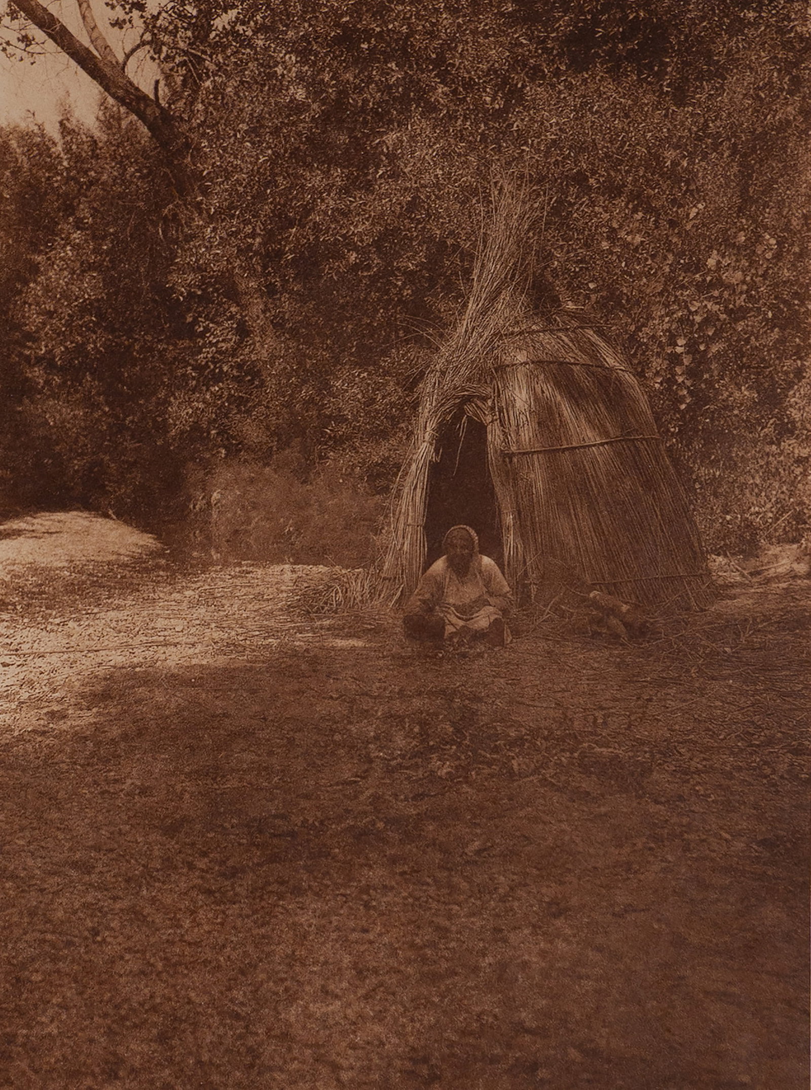Cooking Acorns - Lake Pomo: A Pomo individual seated in front of a traditional bark or reed oven—likely a dome-shaped structure—engaged in processing acorns. The subject is nestled in a dappled forest setting by Lake Pomo, w