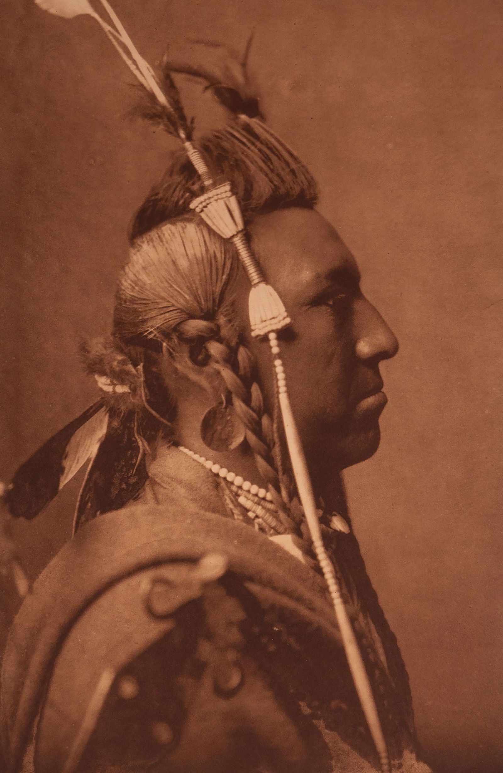 Swallow Bird - Apsaroke (1 of 5)