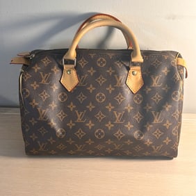 Faux Louis Vitton Everyday Handbag with Crossbody Shoulder Strap