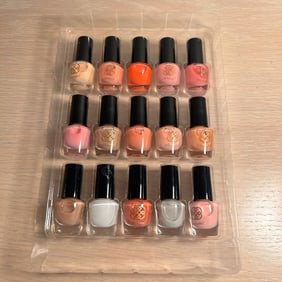 15 Piece Mini Nailpolish Set