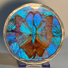 Vintage Iridescent Morpho Butterfly Decorative Plate, Made in Brazil