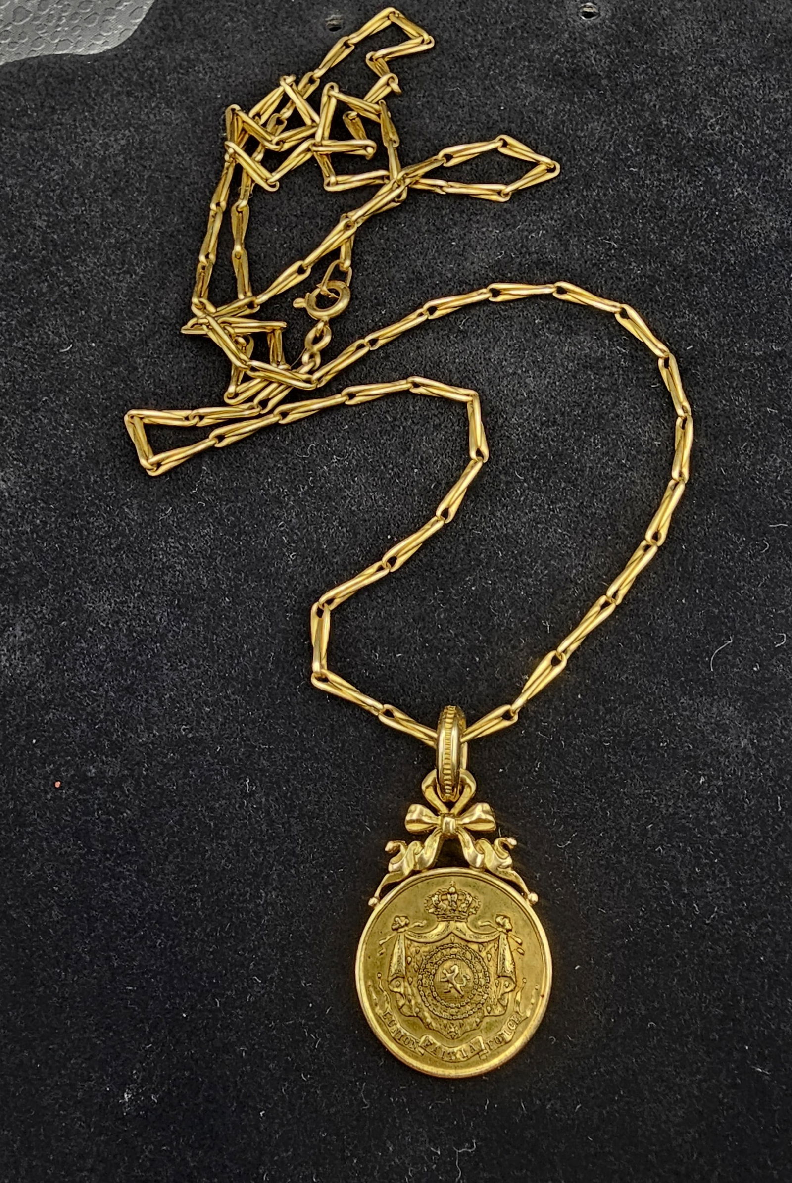 Gold Coin Necklace (1 of 1)