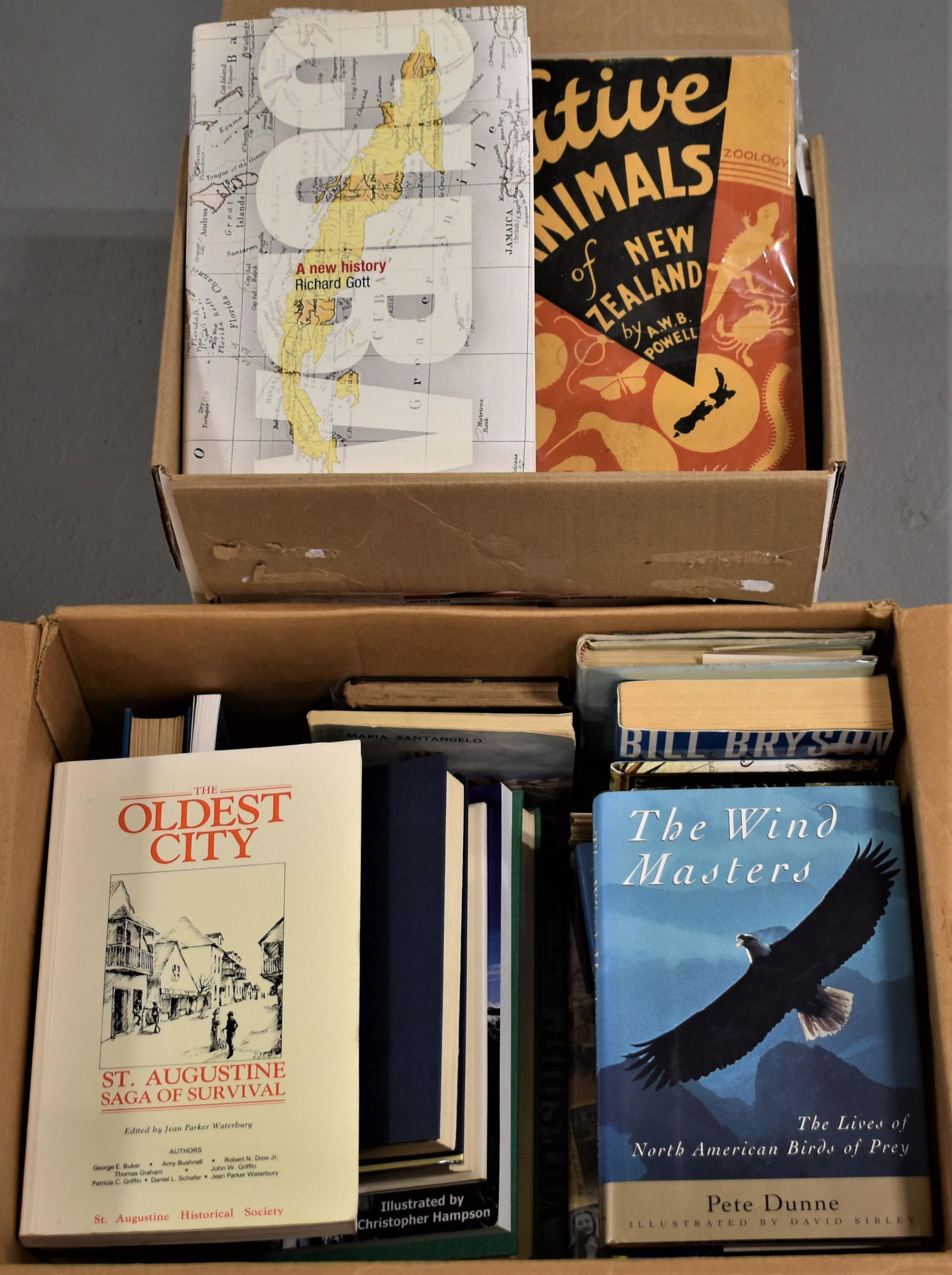 39 Volumes of Books on Travel and Adventure (1 of 1)