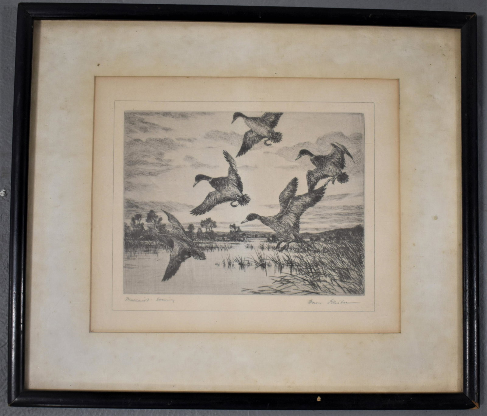 Hans Kleiber Etching of Ducks in Marsh: ETCHING OF MALLARD IN FLIGHT OVER MARSH TITLED "MALLARDS COMING" SIGNED LOWER RIGHT HANS KLEIBER - FRAMED AND MATTED - 8" X 10" SIGHT - TONING, FOXING, WEAR TO FRAME AND IMPERFECTIONS