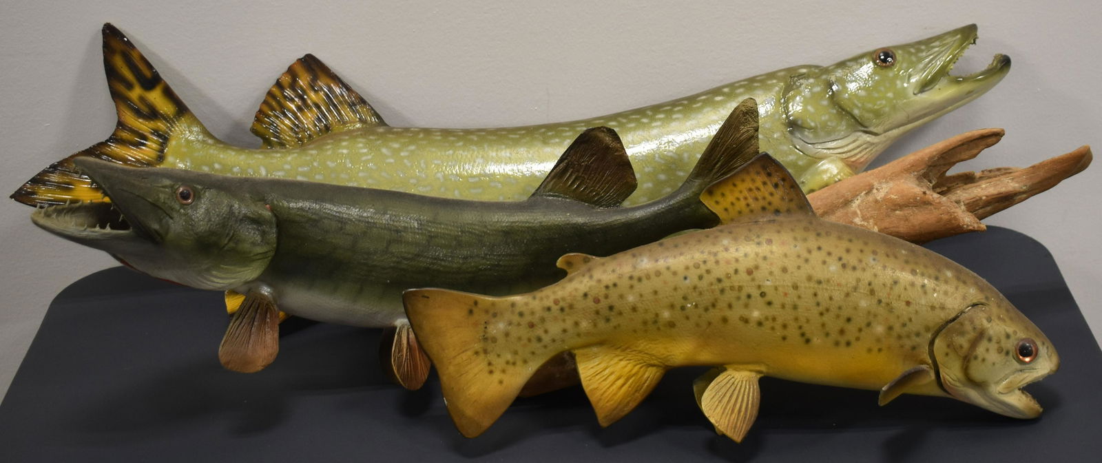 (3) Fish Taxidermy Mounts (1 of 5)