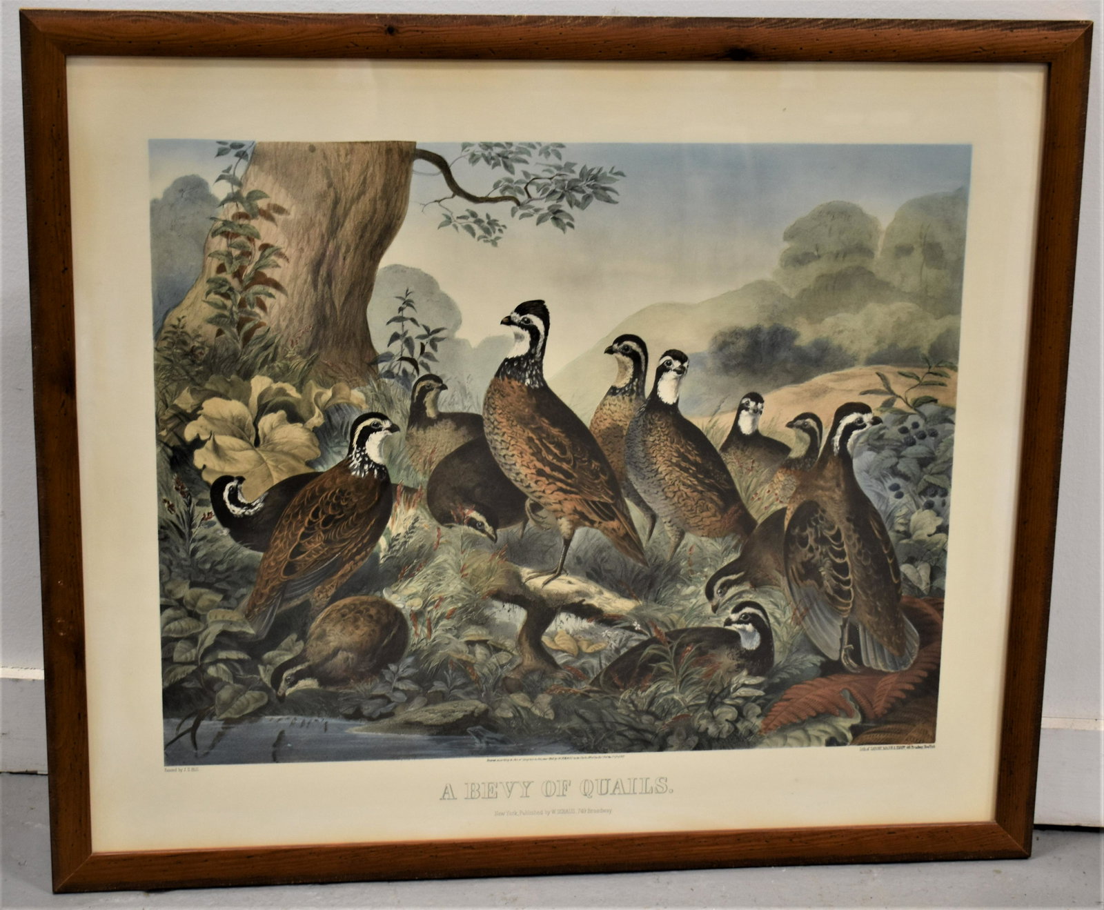 Currier and Ives Print A Bevy Of Quails: LATER PRINTING CURRIER AND IVES PRINT TITLED - "A BEVY OF QUAILS" - 23 1/2" X 28" - SIGHT- FRAMED - TONING