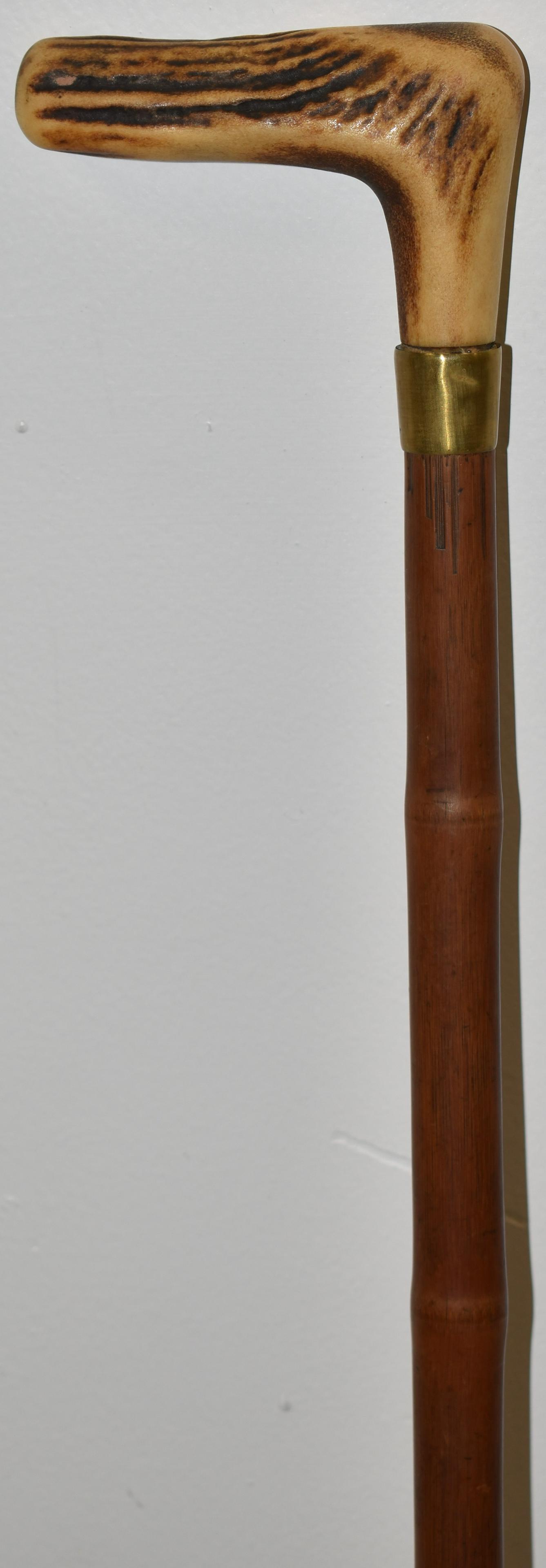 29 3/4" SWAGGER CANE W/ ANTLER HANDLE (1 of 2)