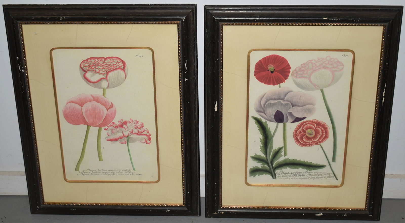 2 HAND CLORED FLORAL BOOK PLATES (1 of 3)