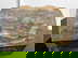item-210396855=11