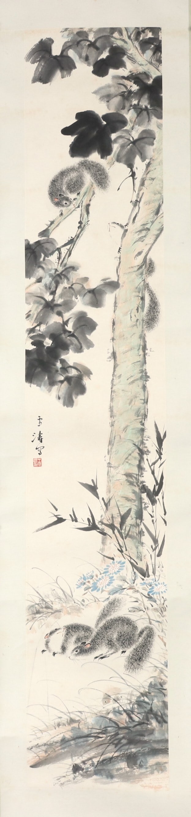 Wang Xuetao - Squirrel (1 of 7)