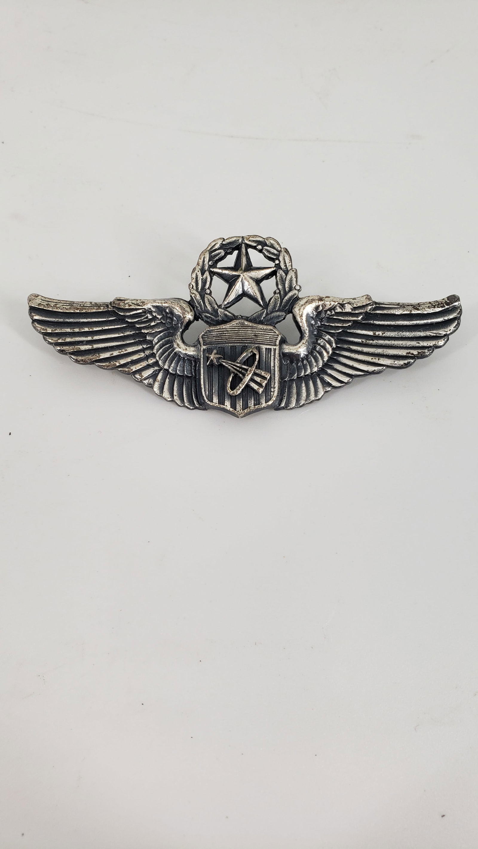   NASA APOLLO PILOTS PIN   (1 of 5)