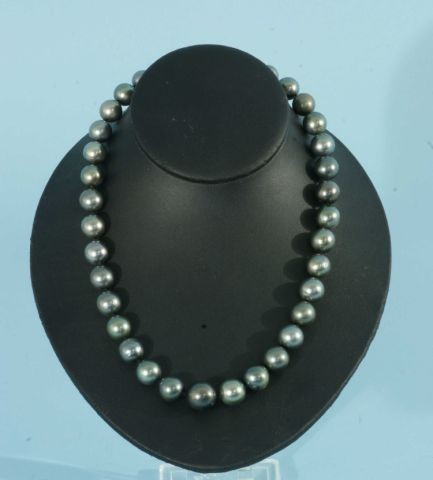 LADIES TAHITIAN CULTURED PEARL NECKLACE: LADIES TAHITIAN CULTURED PEARL NECKLACE. GRADUATED SINGLE STRAND PEARL NECKLACE EIGHTEEN INCH PRINCESS LENGTH, KNOTTED WITH AN 14KT WHITE GOLD ELEVEN MILLIMETER SCALLOPED PLUNGER STYLE CLASP. CONTAINI