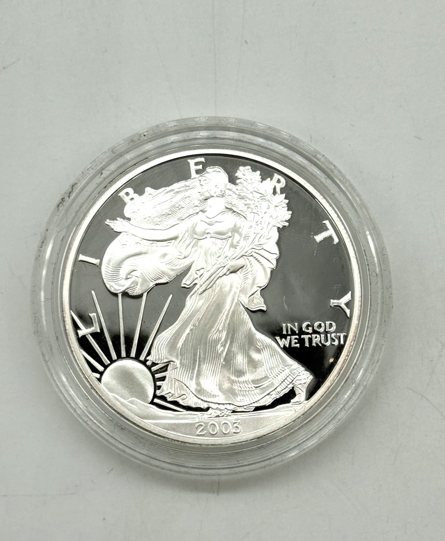 2003 American Silver Eagle 1 oz .999 Fine Silver Bullion Coin (1 of 3)