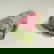 item-207725303=7