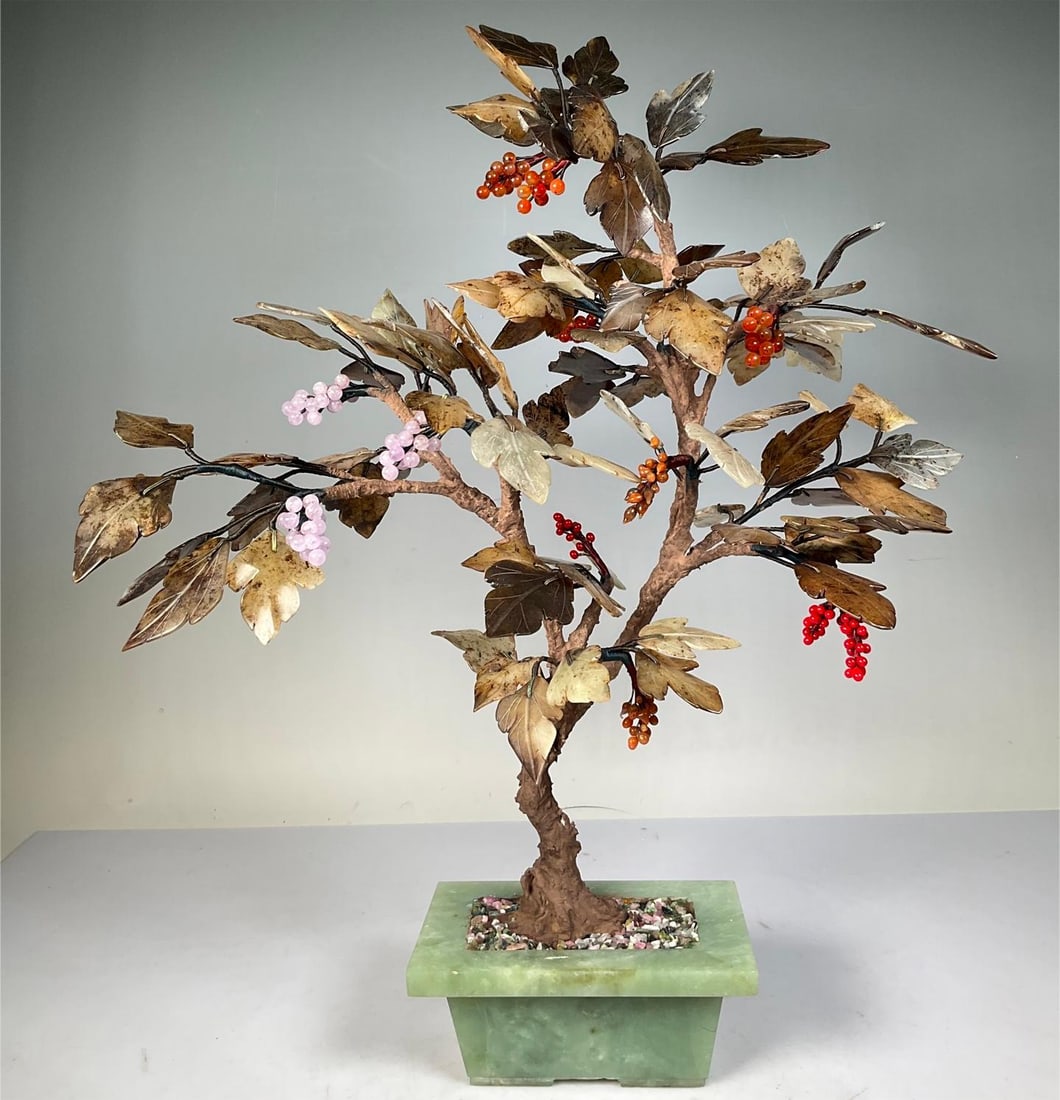 A beautiful autumn color of the early liberation jade bonsai (1 of 9)