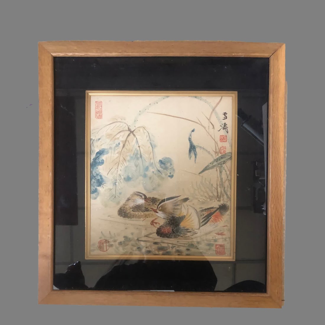 A picture of Wang Xuetao's mandarin ducks (1 of 8)