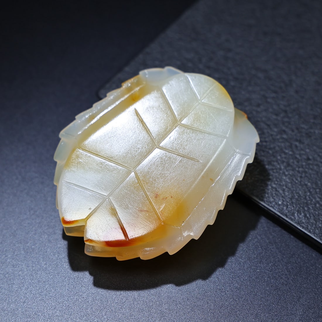 A fine agate tortoise shell - 4