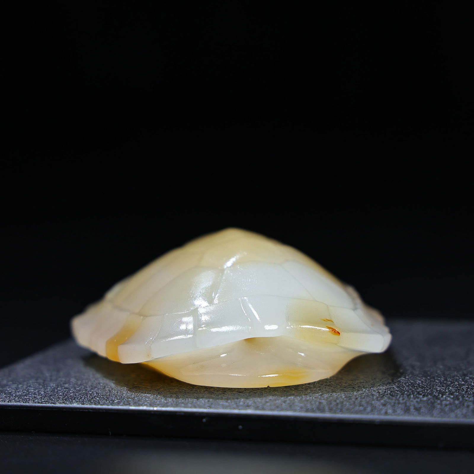 A fine agate tortoise shell - 5