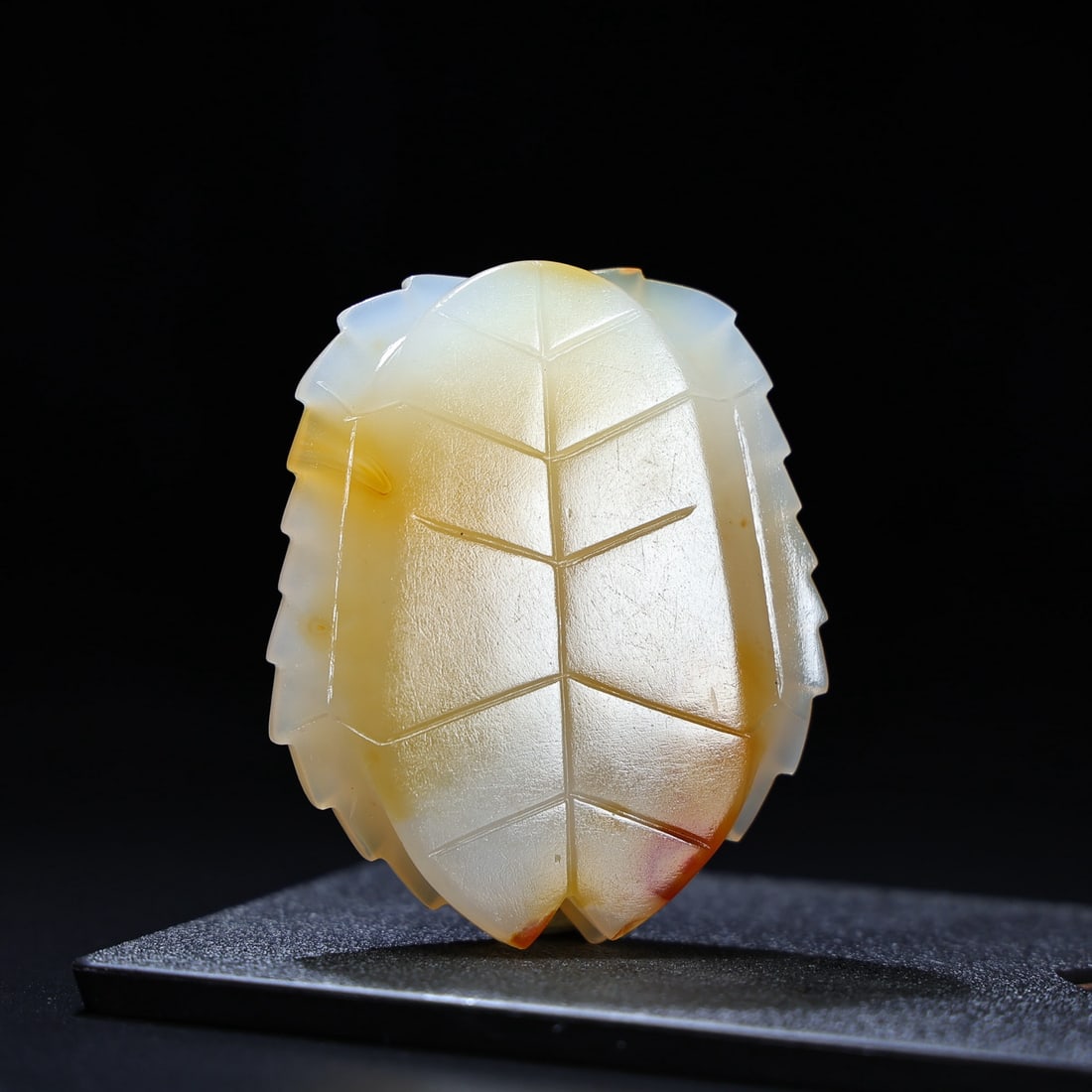 A fine agate tortoise shell - 6