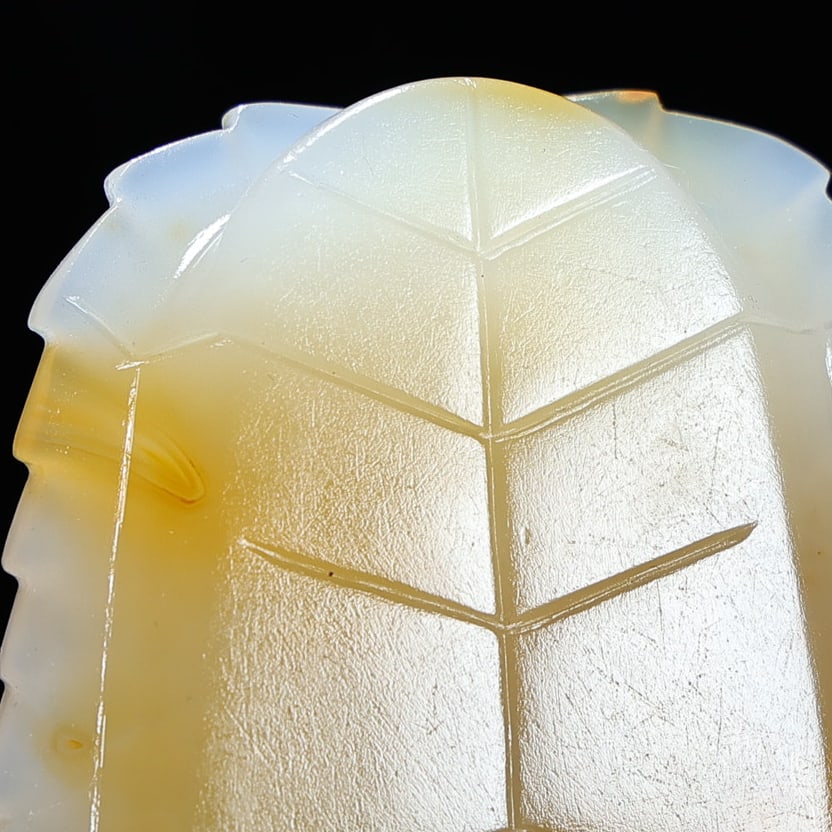 A fine agate tortoise shell - 7