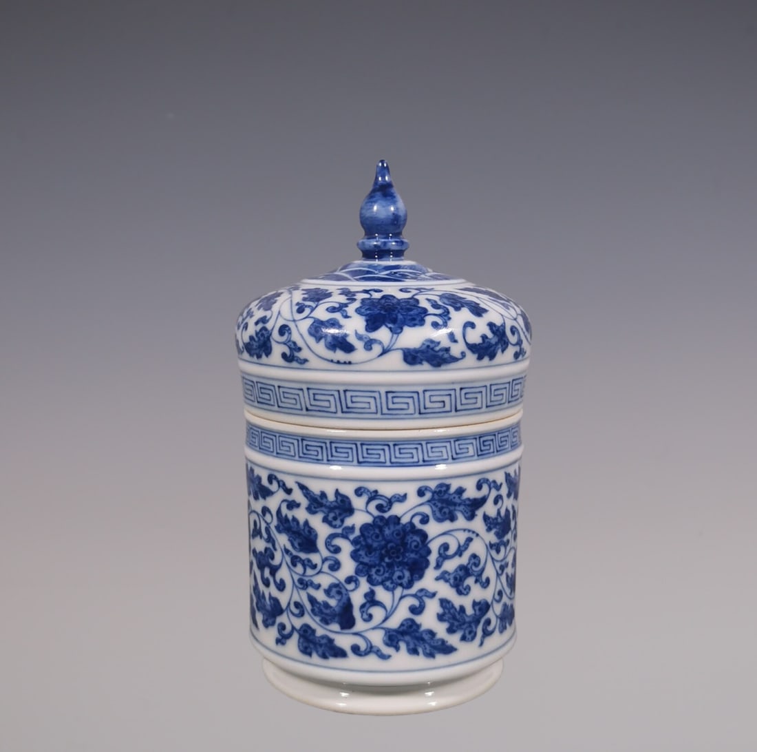 An Exquisite Blue and White Lotus Pattern Seawater Pattern Tea Caddy (1 of 6)