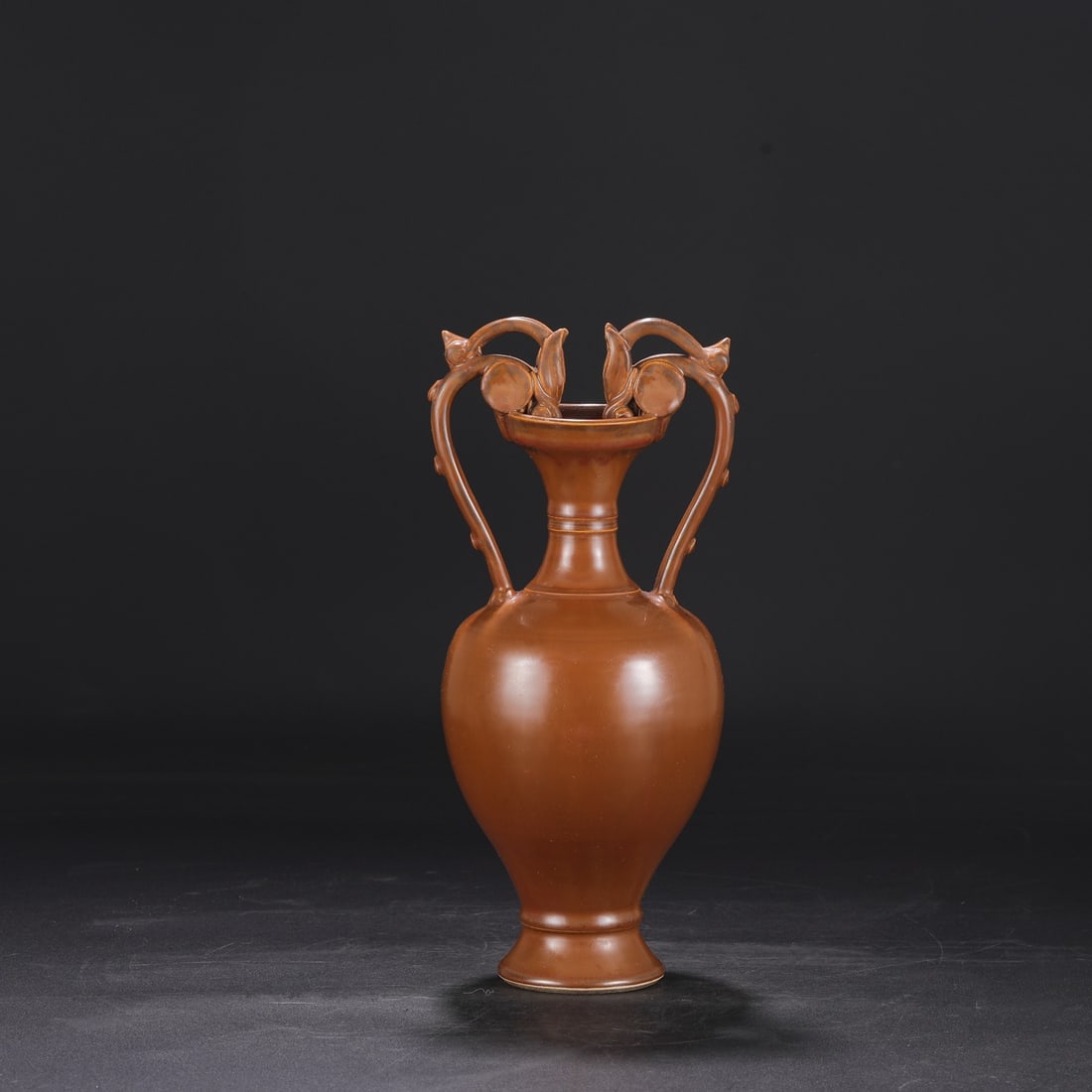 A purple gold glazed double dragon bottle official of the Song Dynasty Ding kiln (1 of 9)