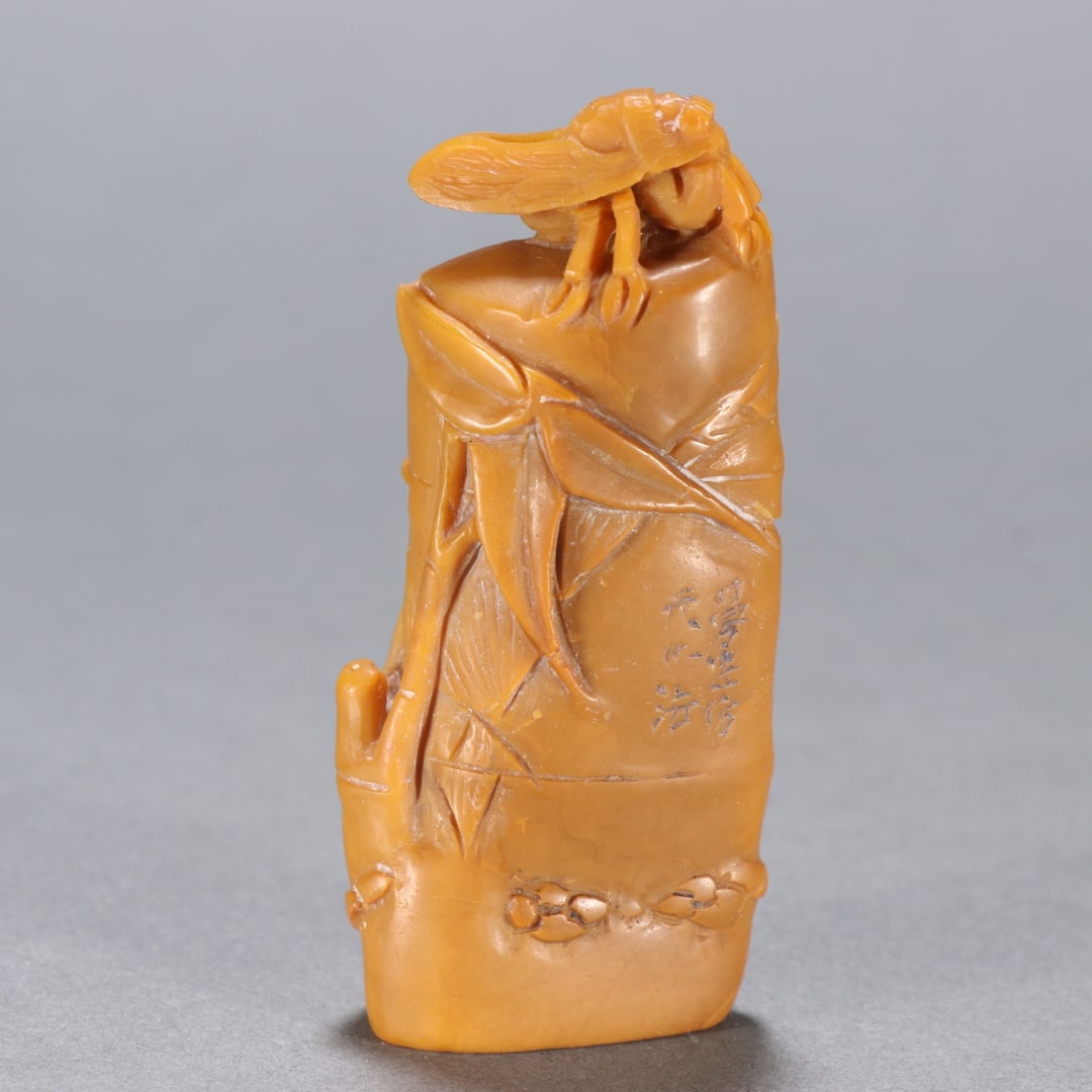 A beautiful Tianhuang stone bamboo joint pattern cicada button seal (1 of 9)