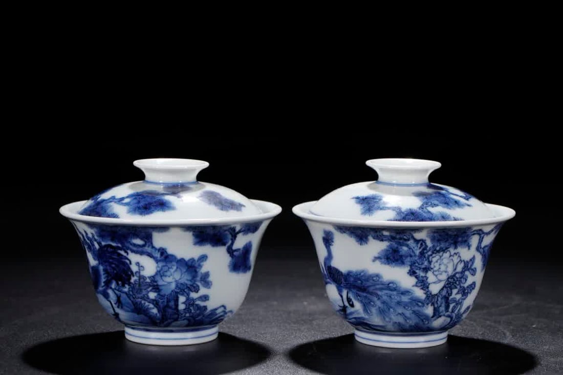 A pair of Qing Dynasty "Qing Qianlong Year System" blue and white painted chicken cover bowls (1 of 7)