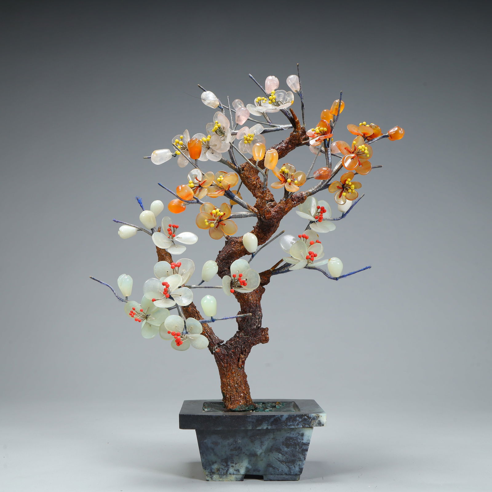 A jade plum blossom bonsai during the foreign exchange period (1 of 9)