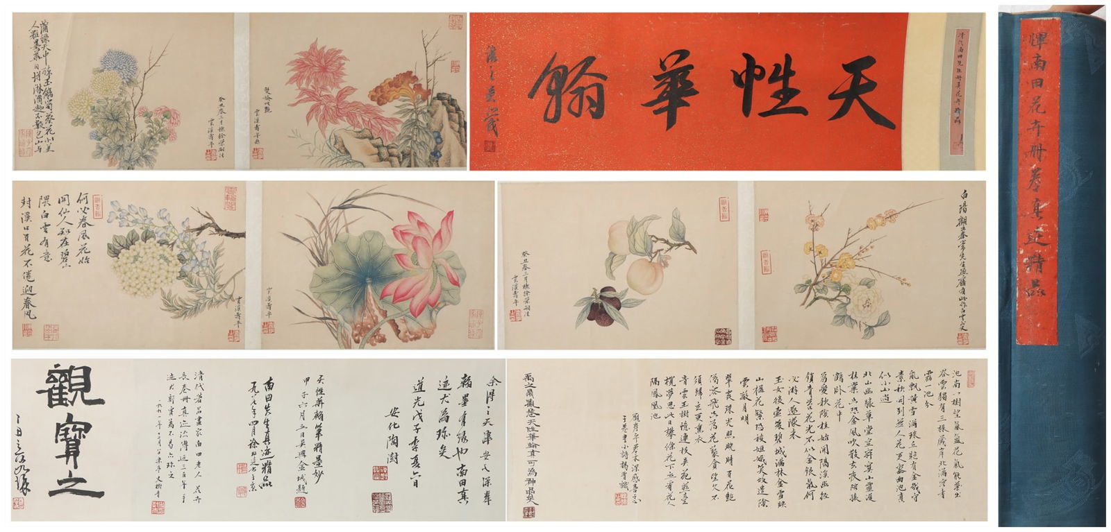 A Chinese Hand Scroll Ink Painting of Flower and Fruit on Paper (1 of 8)