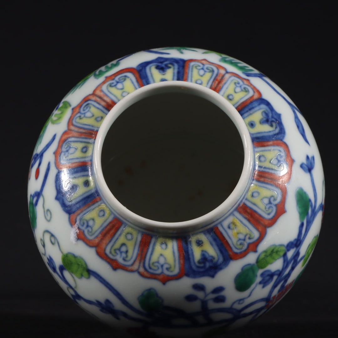 A Rare Doucai Grapes Pattern Jar - 6