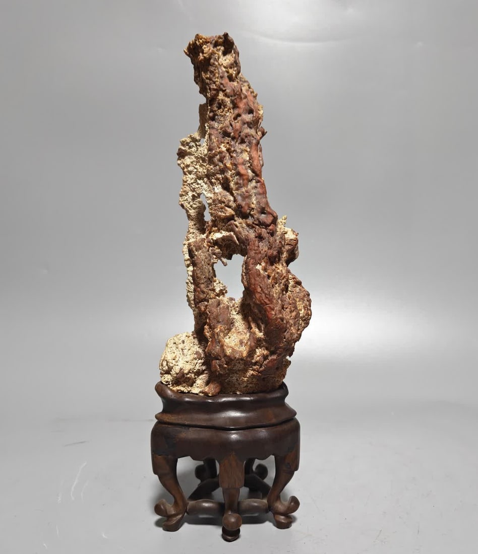 A Qing Dynasty wood fossil study ornament (1 of 6)