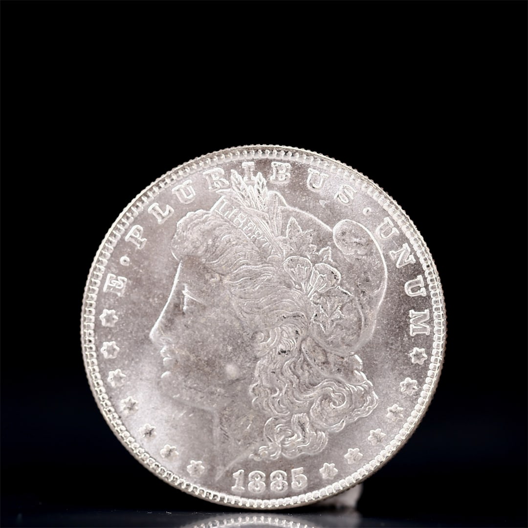 USA Morgan Dollar 1885 Coin: Obv: profile bust with date below and E PLURIBUS UNUM legend and stars around. Rev: eagle with In God we trust above within wreath with UNITED STATES OF AMERICA ONE DOLLAR legend. IN GOD WE TRUST / LI