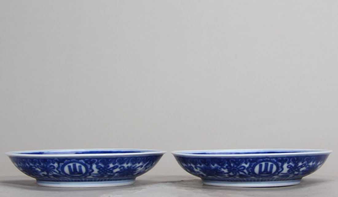 A pair of Qing Dynasty Qianlong blue and white lotus to consecrate the mountain high water long (1 of 10)