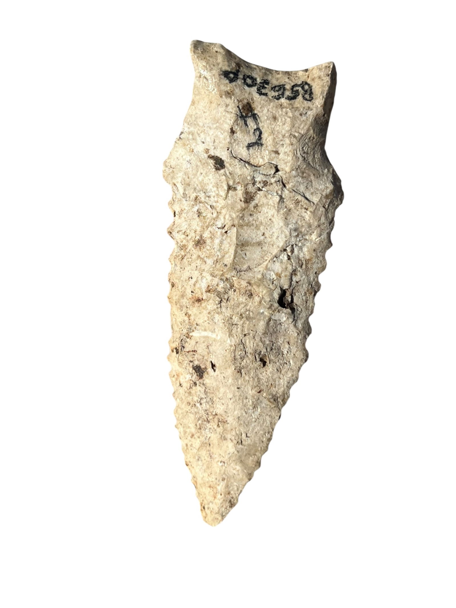 Dalton Arrowhead. Illinois. Fossiliferous Chert. Ex Pesch (1 of 3)
