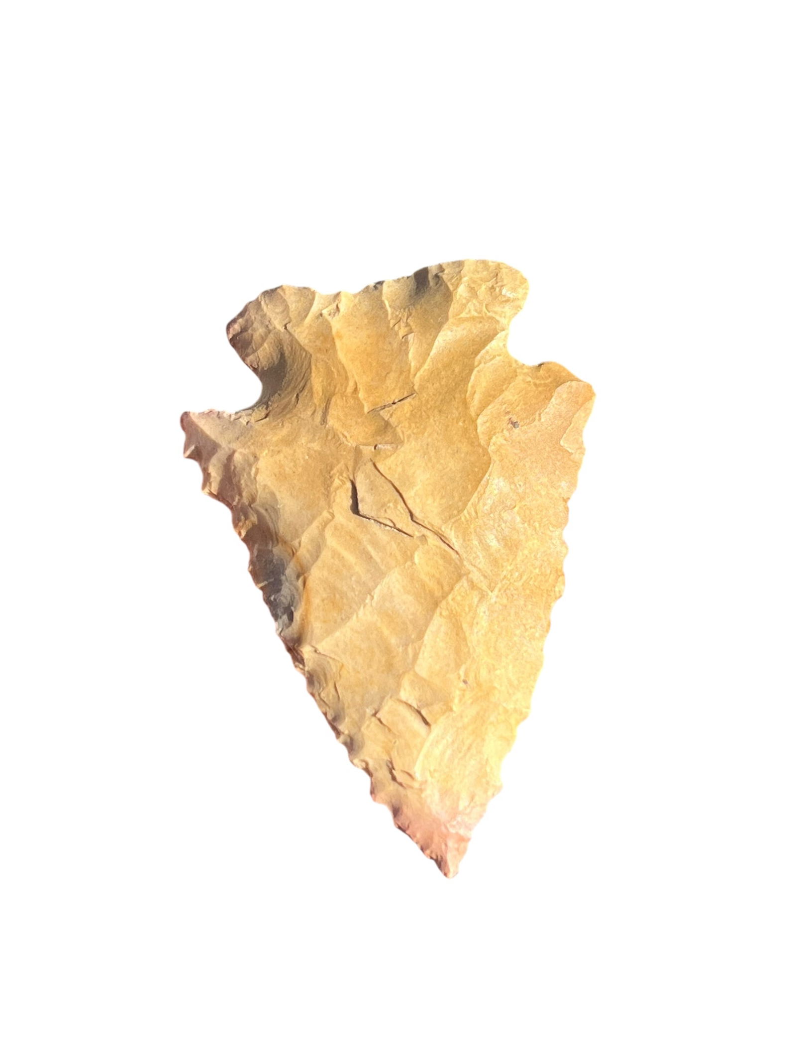 Pinetree Arrowhead. Monroe County, IN (1 of 2)