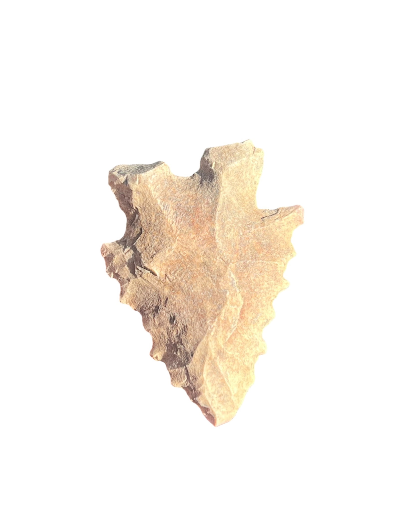 Bifurcate Arrowhead: Bifurcate found in Monroe County, IN. 1 5/16"